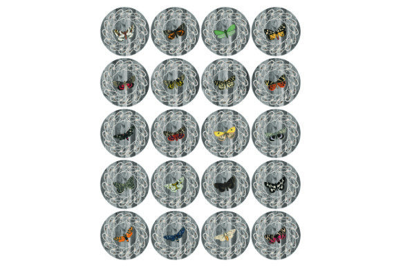 Big Embellishments Butterflies -Wood .3: A Versatile Design Element for Creative Projects